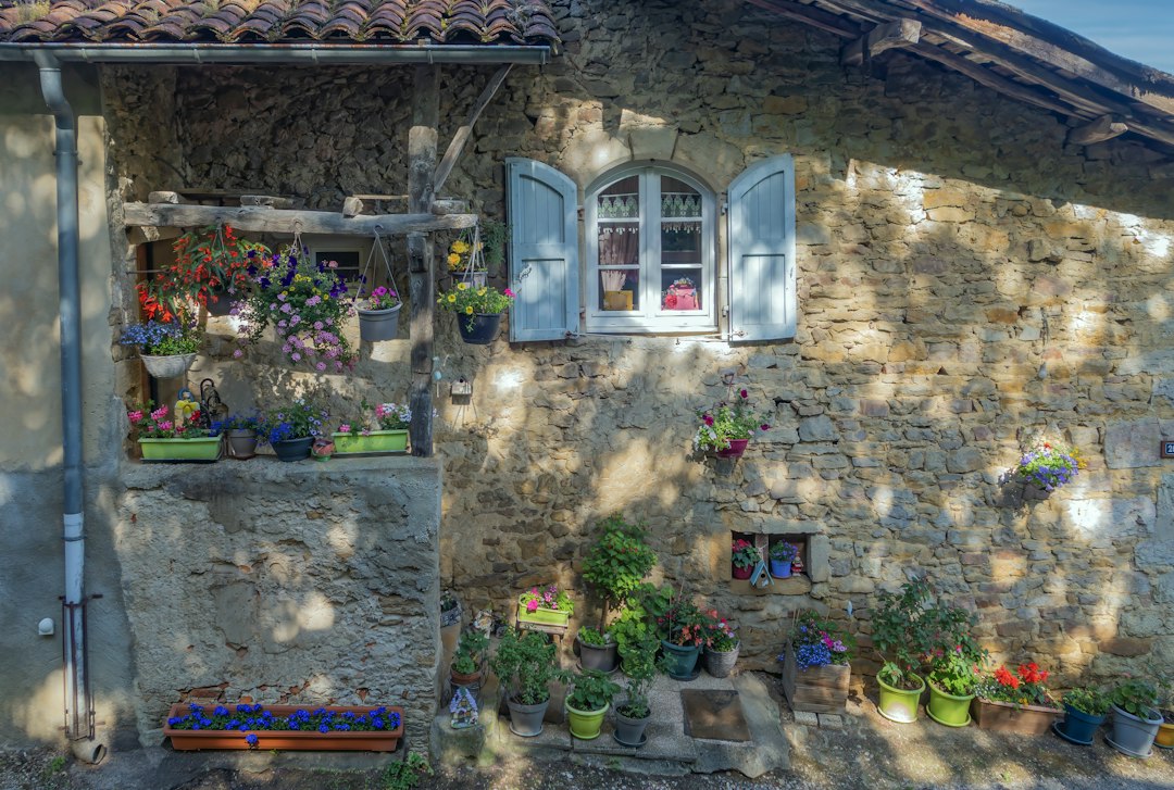 Maison en pierre avec terrasse fleurie à Montbrison