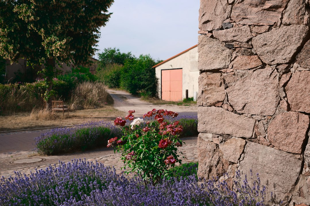 Terrain clos de mur en pierre à Andrézieux-Bouthéon