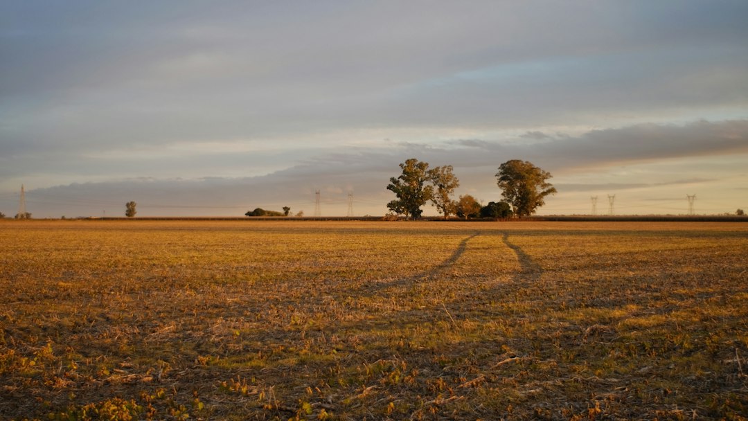 Champs et prairies d un paysage rural