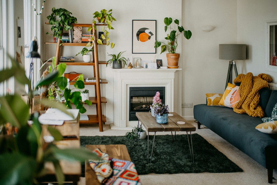 Salon mis en scène avec coussins et plantes