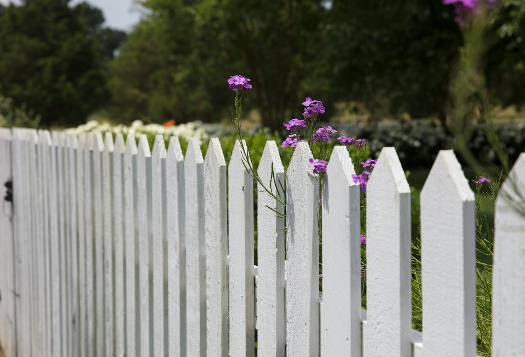 Clôture blanche et fleurs en limite de jardin