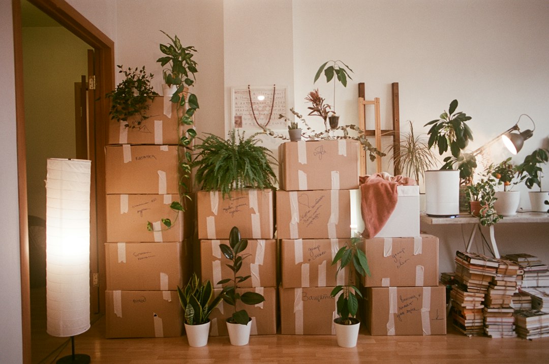 Cartons de déménagement et clés d un nouveau logement